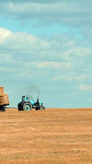 公主保护计划快播截图3